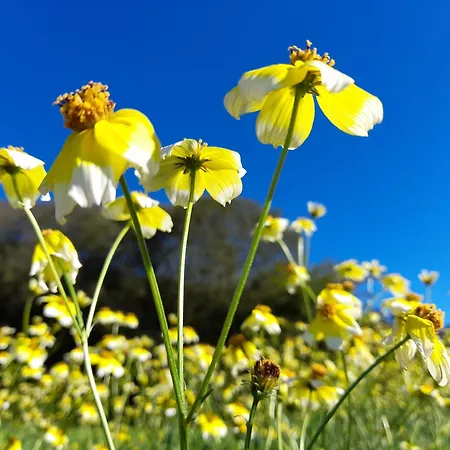 Apartamento Nova Alofa *