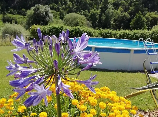 Nova Alofa Apartment *